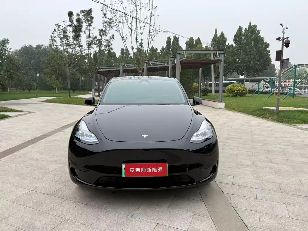 Tesla Model Y — миниатюра 2