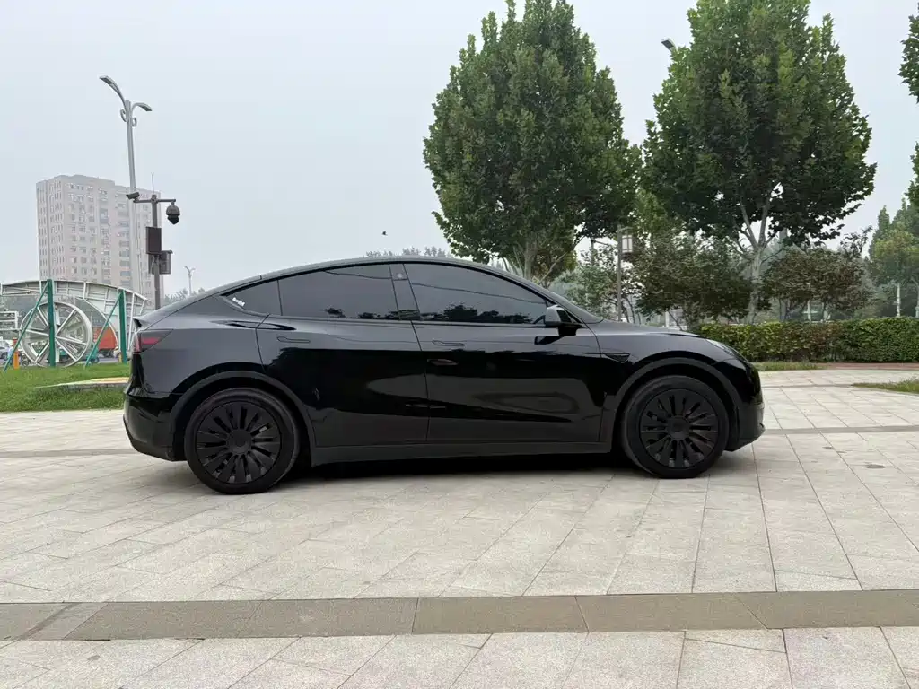 Tesla Model Y — миниатюра 4