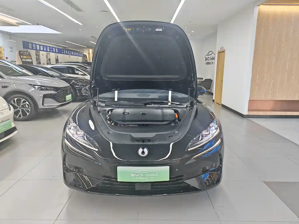 Denza Denza Z9 — миниатюра 2