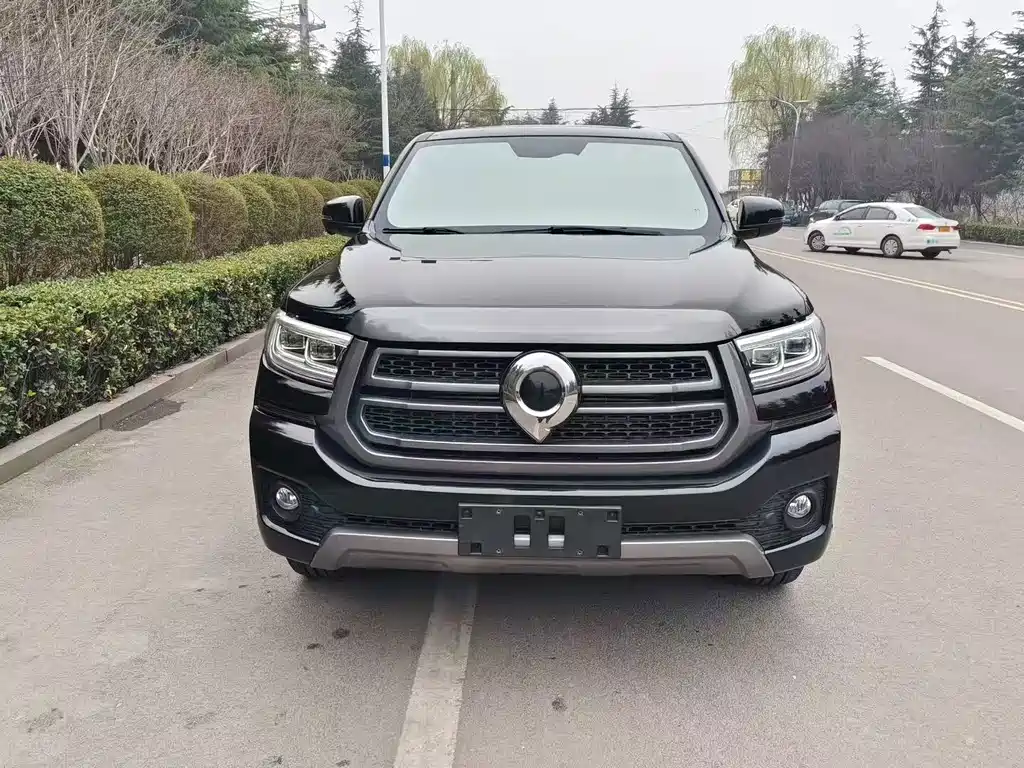 Great Wall Pao — миниатюра 2