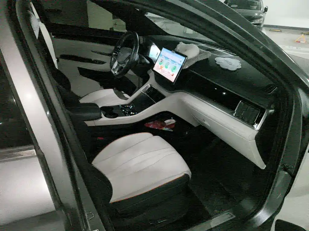BYD PLUS New Energy — миниатюра 19