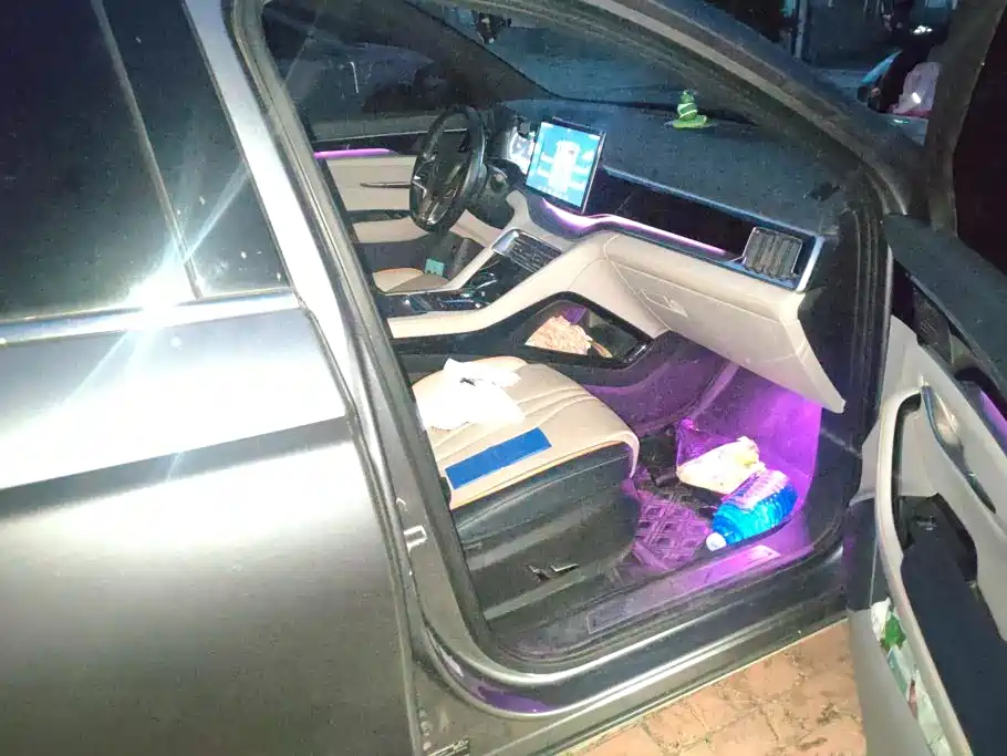 BYD PLUS New Energy — миниатюра 8