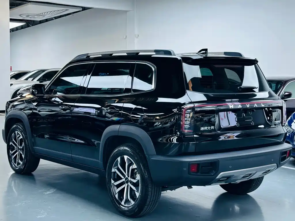 Haval Big Dog — миниатюра 13