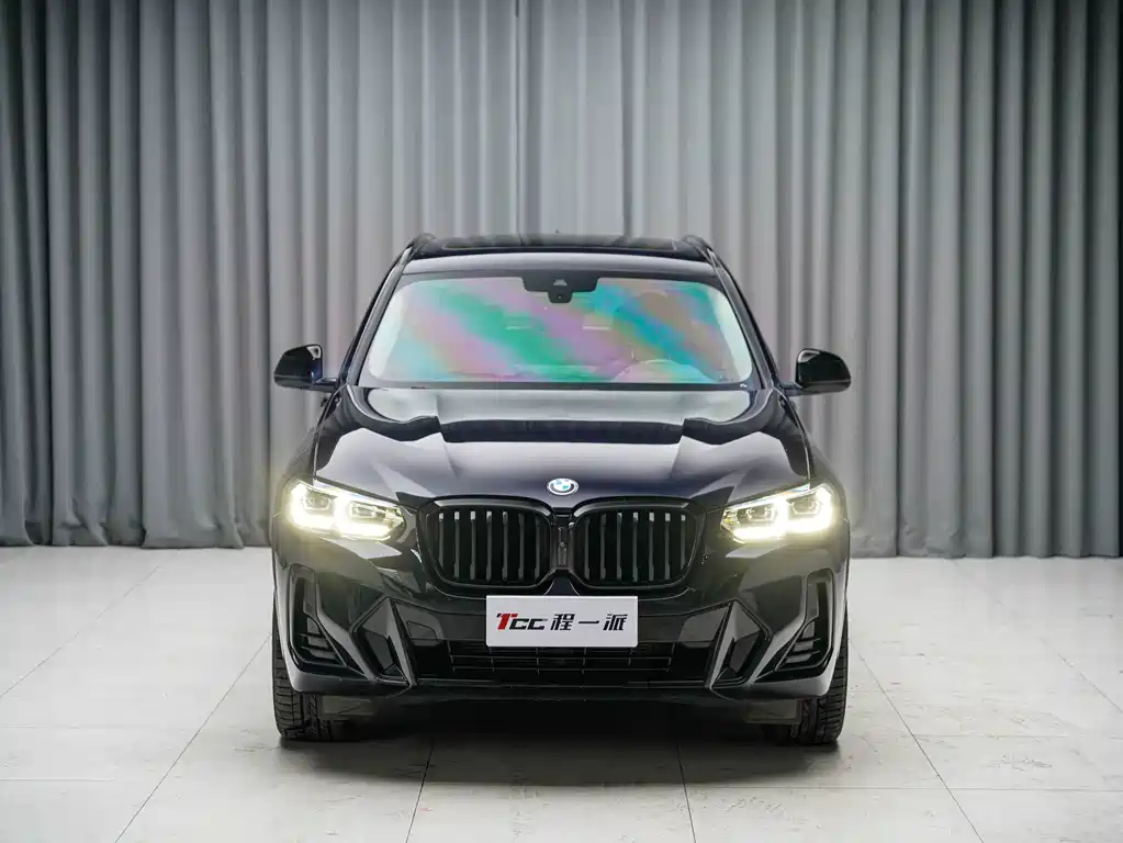 BMW X3 — миниатюра 2