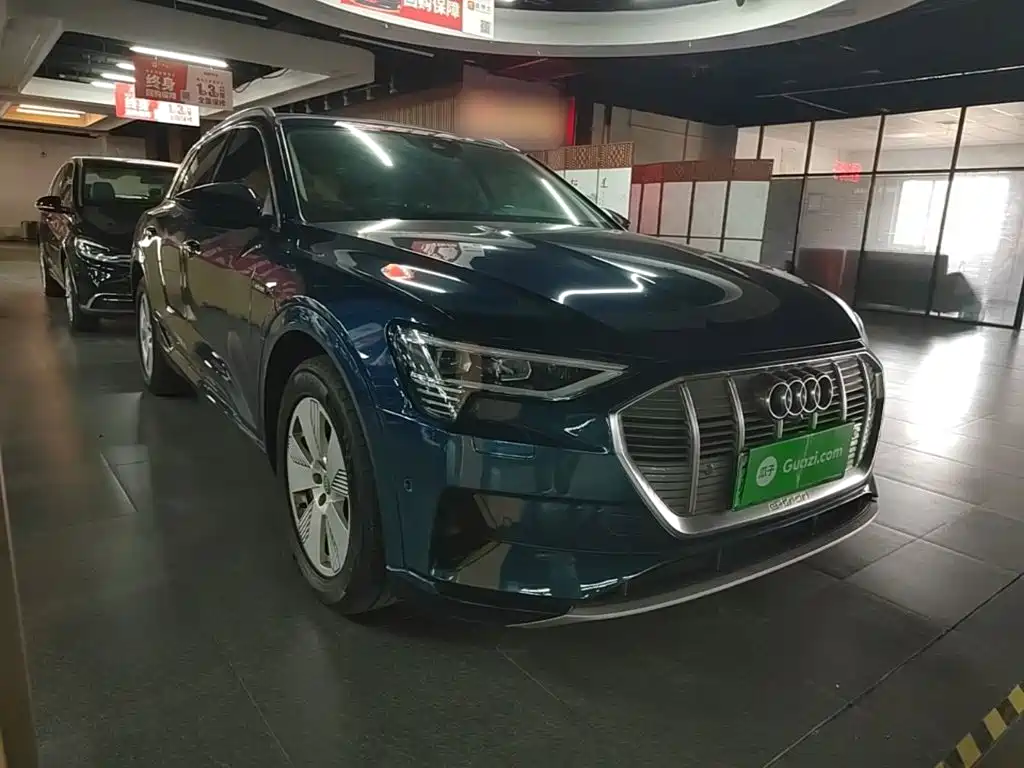 Audi e-tron (Import) — миниатюра 4