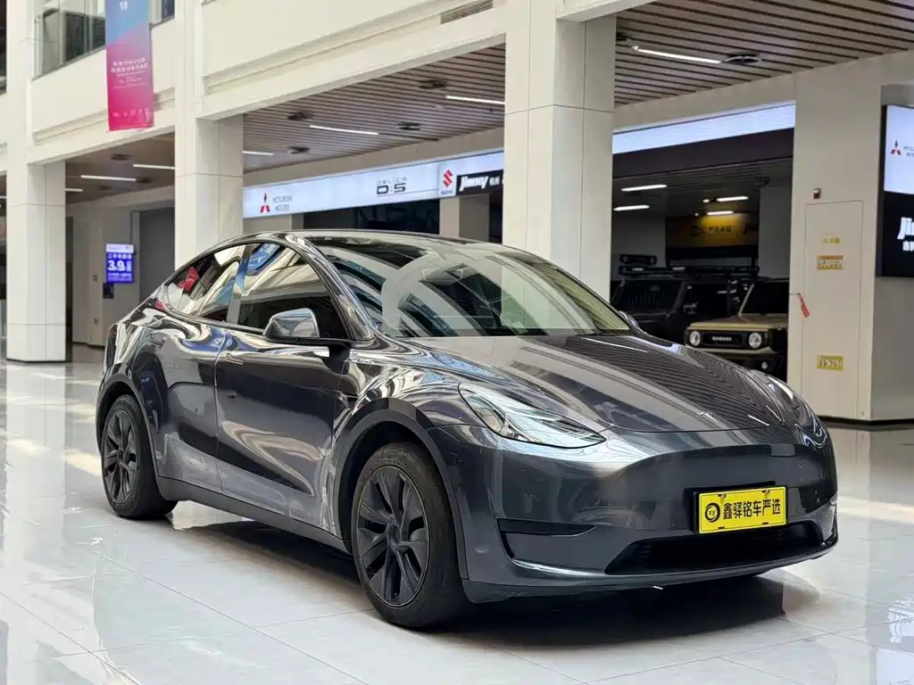 Tesla Model Y — миниатюра 3