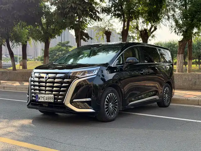 2023 Denza D9