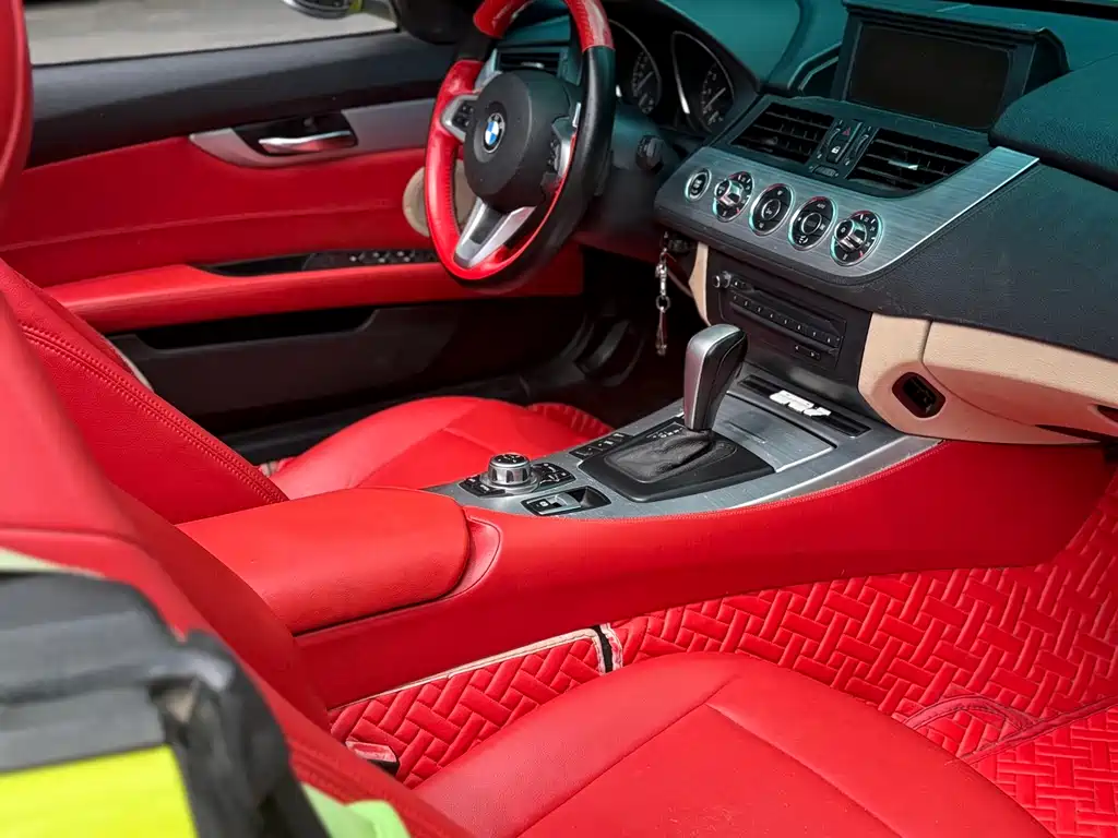 BMW Z4 2009 sDrive23i Lead