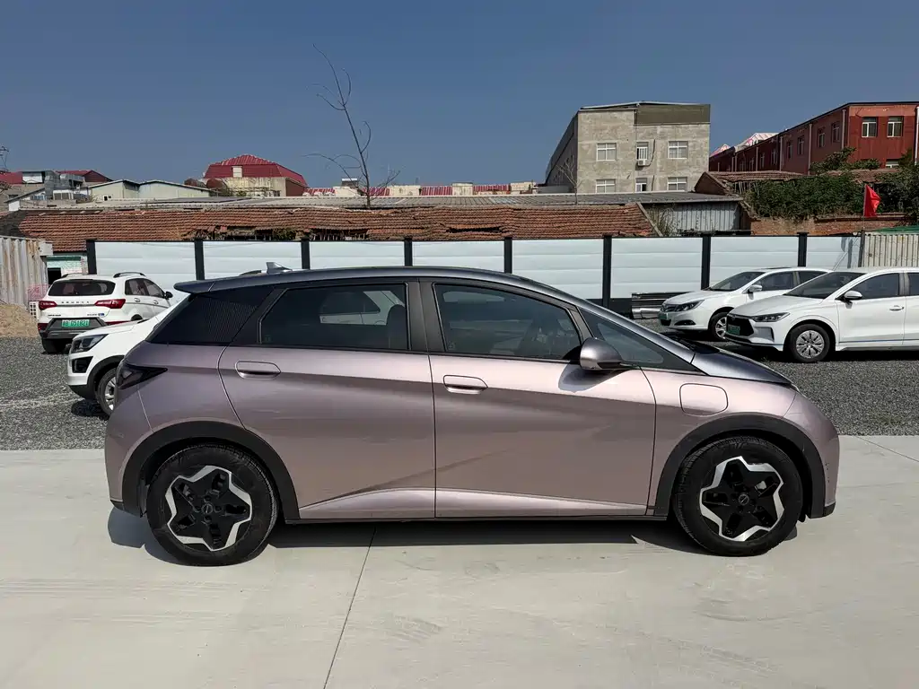 BYD Dolphin — миниатюра 3
