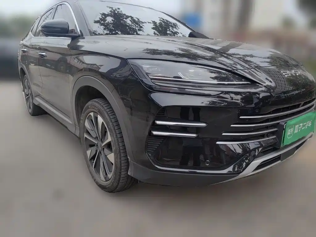 BYD PLUS New Energy — миниатюра 3