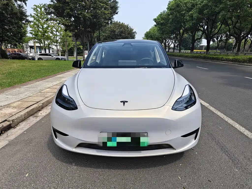 Tesla Model Y — миниатюра 2