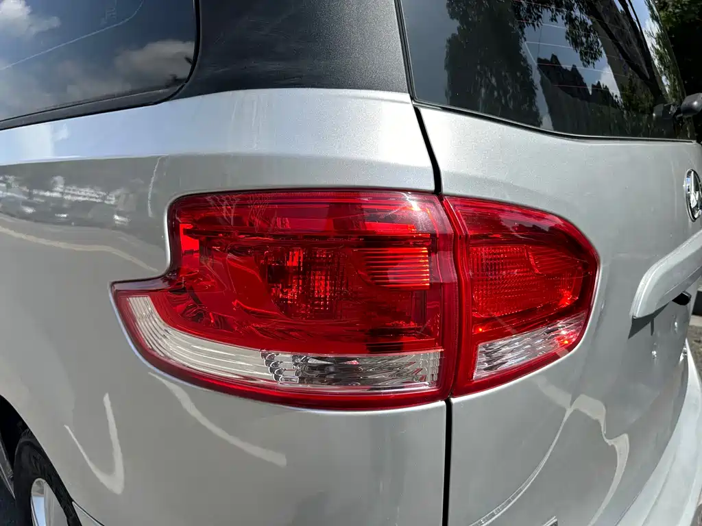 SAIC MAXUS CHASE G10