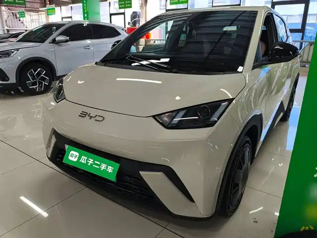 BYD SEAGULL 2024