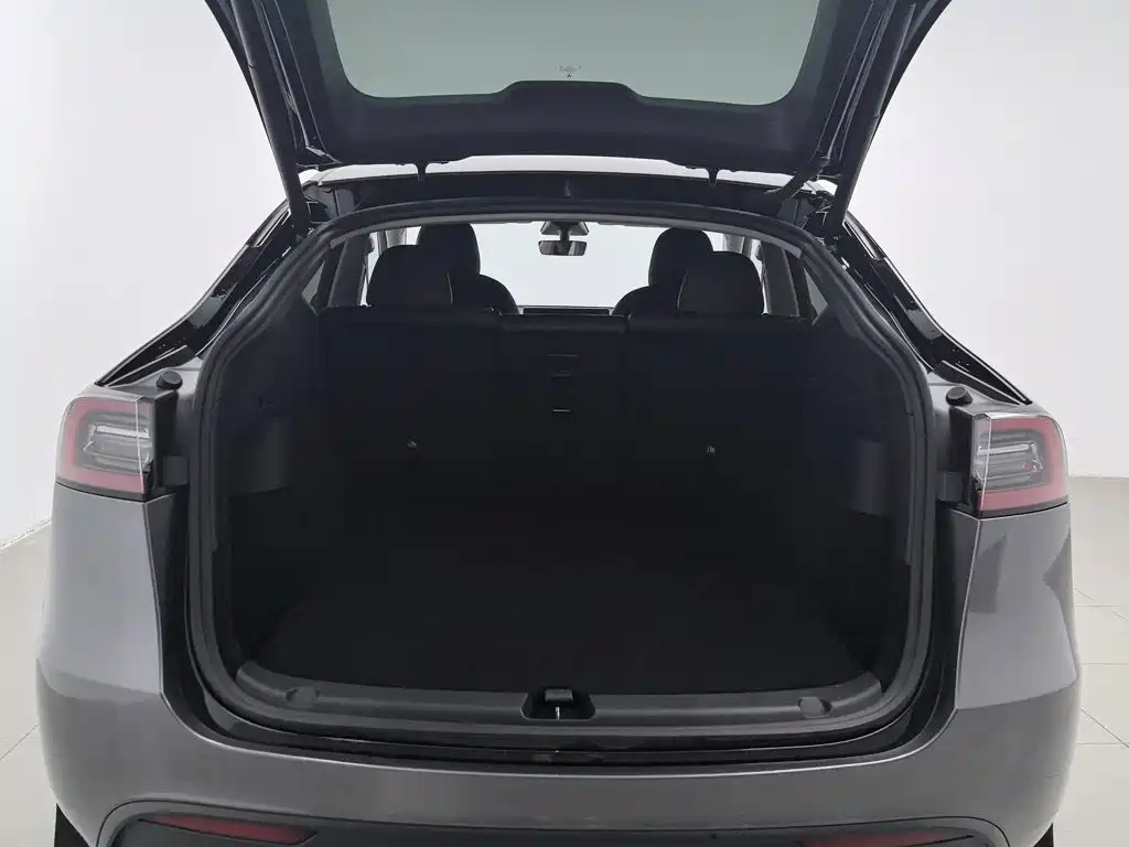 Tesla Model Y — миниатюра 16