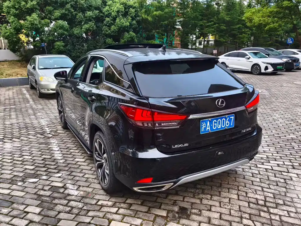 Lexus RX — миниатюра 5