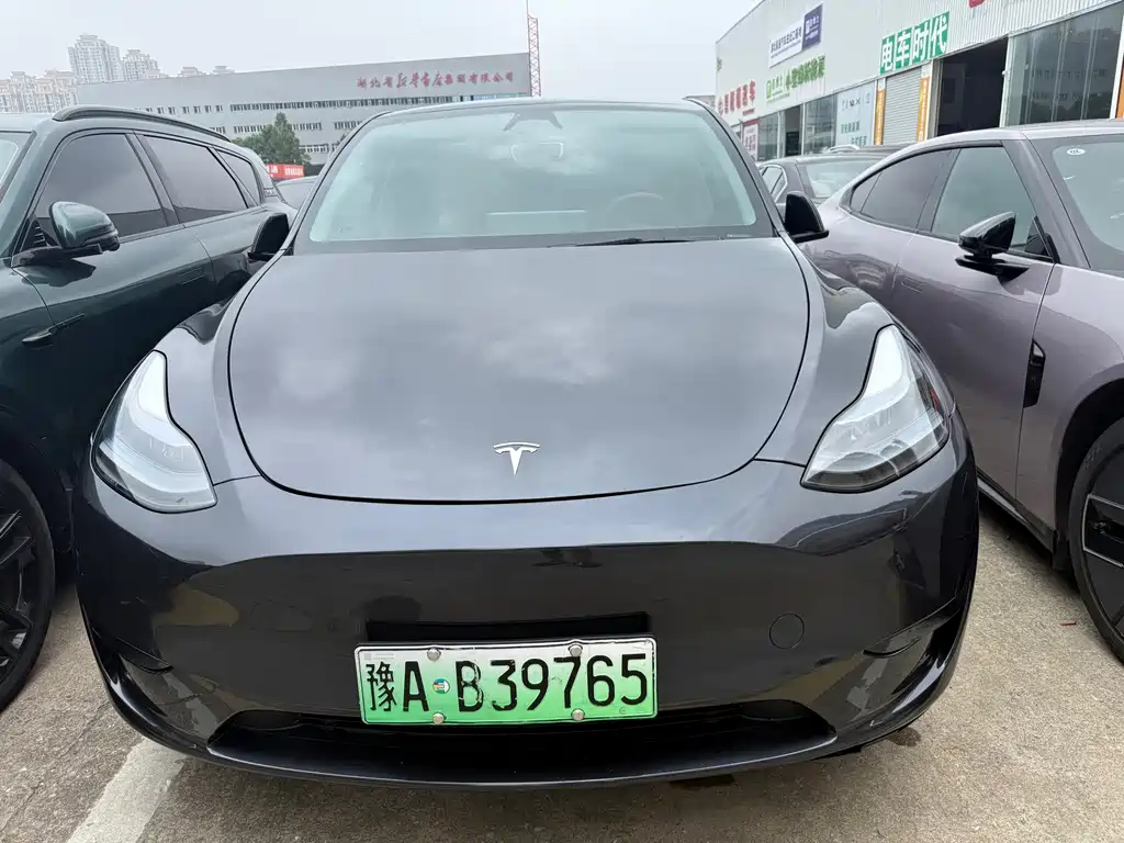 Tesla Model Y — миниатюра 2