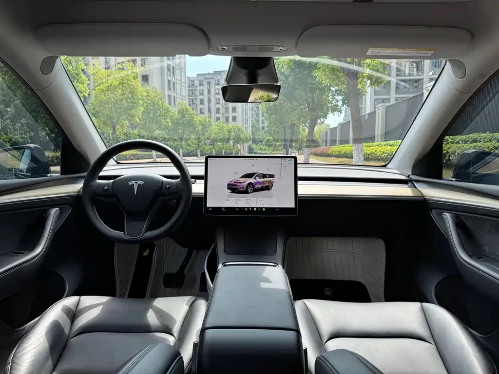 Tesla Model Y — миниатюра 5