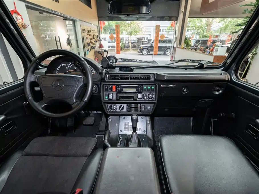Mercedes-Benz G-Class G 2010 G300P