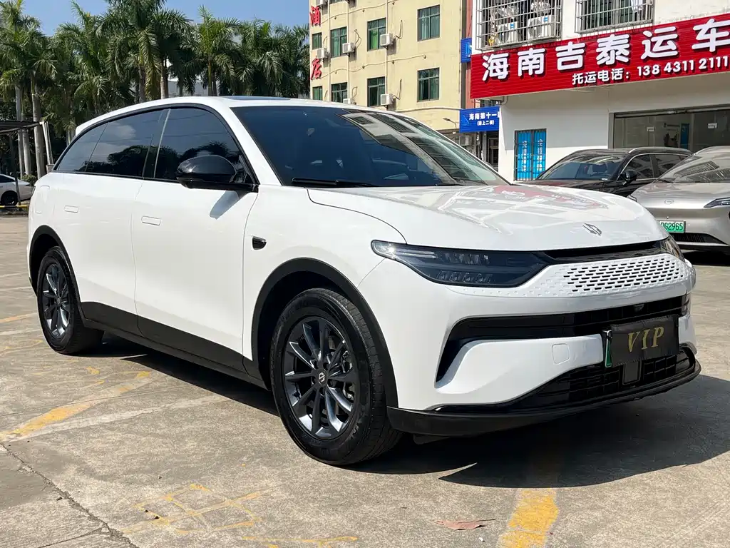 Leapmotor C11 2023 285