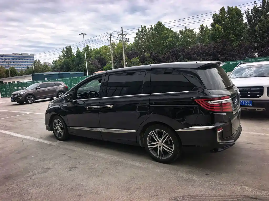 Honda Elysion — миниатюра 13