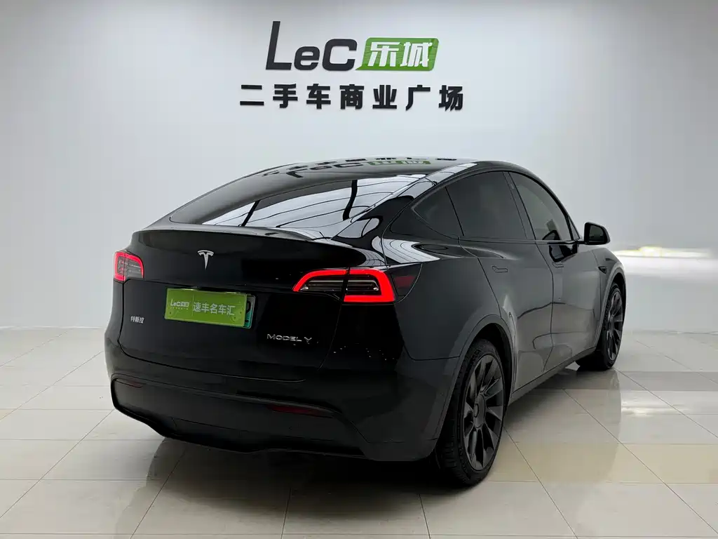 Tesla Model Y — миниатюра 6
