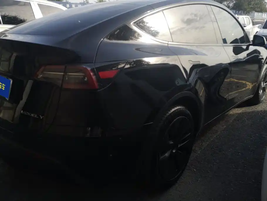 Tesla Model Y — миниатюра 3