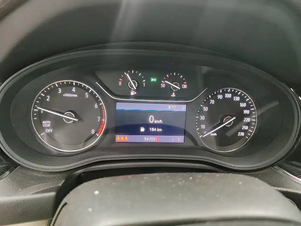 Buick Regal — миниатюра 12