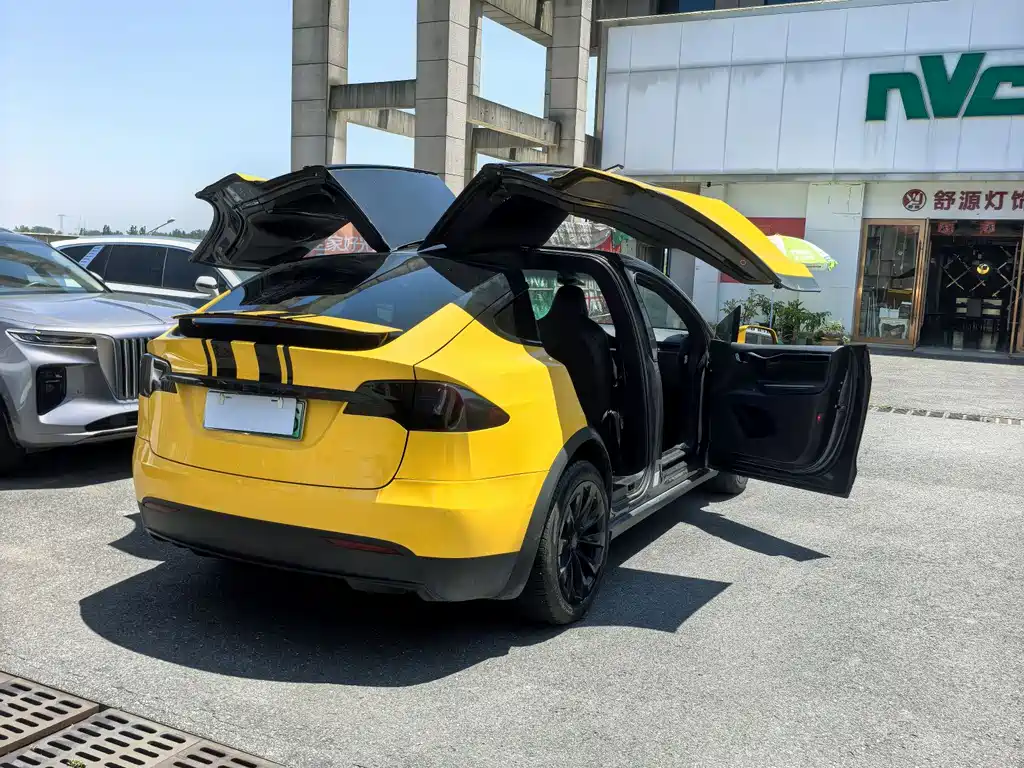 Tesla Model X 2017 Model X 100D