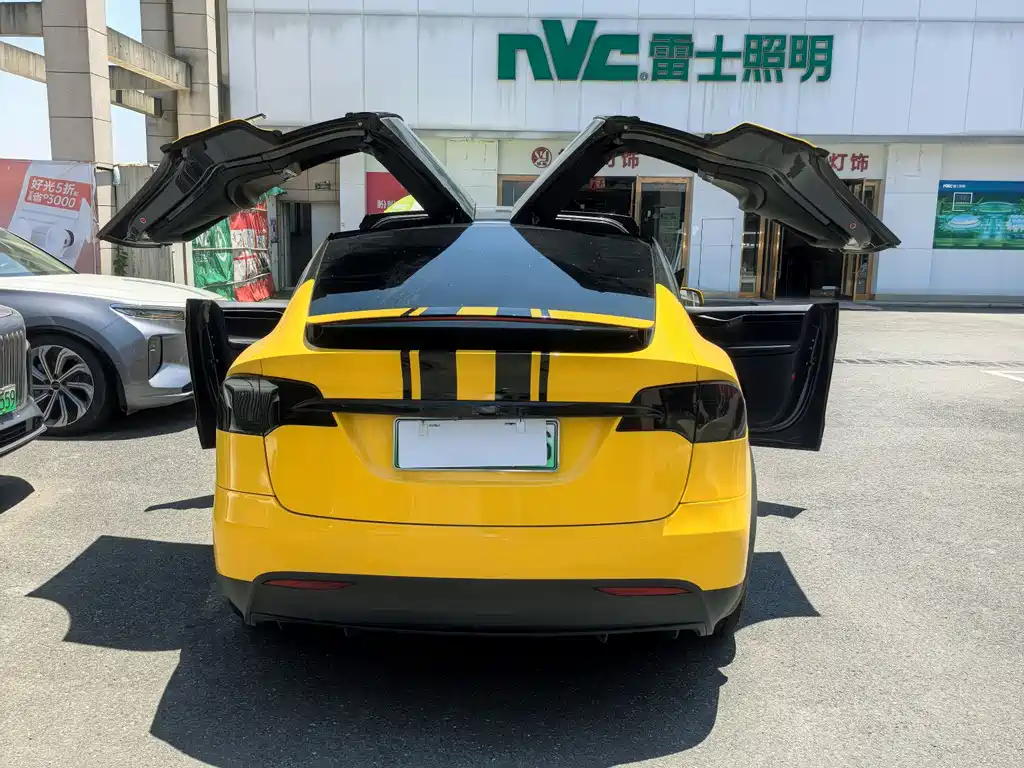 Tesla Model X 2017 Model X 100D
