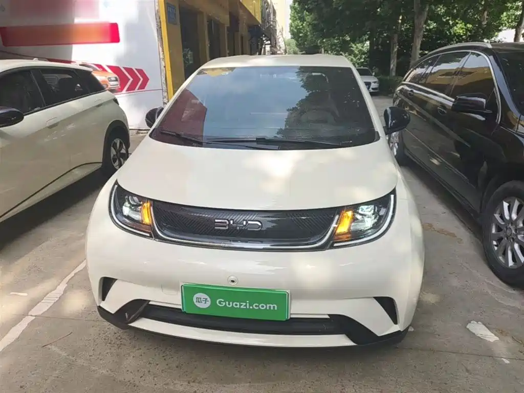 BYD Dolphin 2025 420km Freedom
