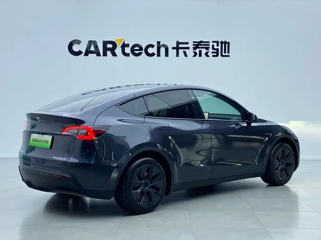 Tesla Model Y — миниатюра 11