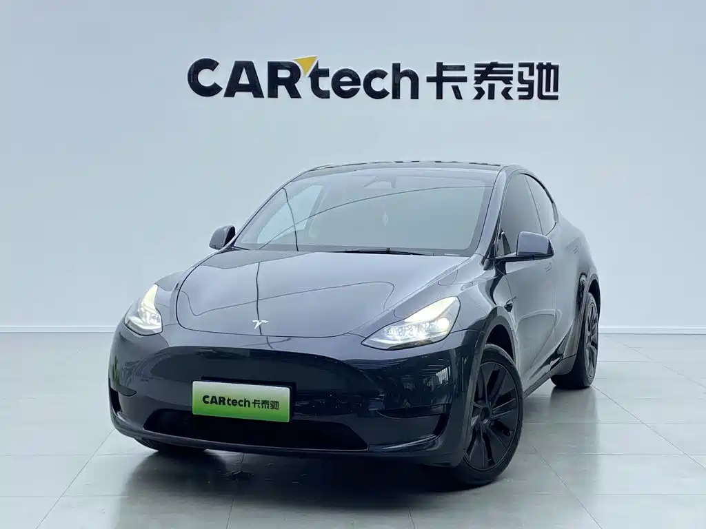 Tesla Model Y — миниатюра 9