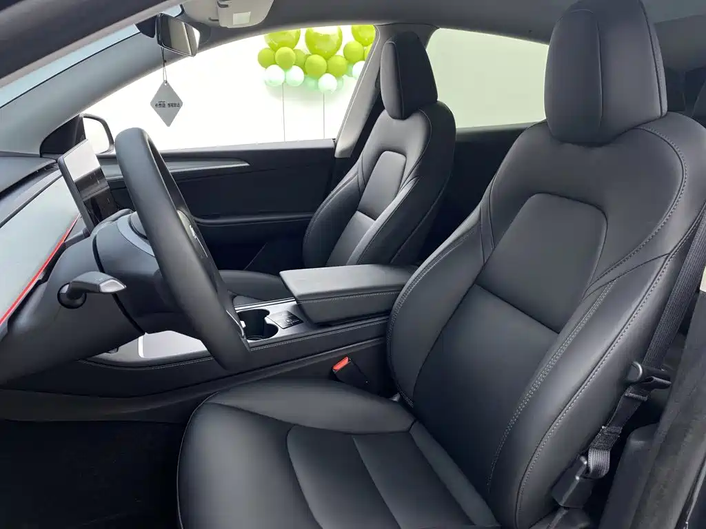 Tesla Model Y — миниатюра 17