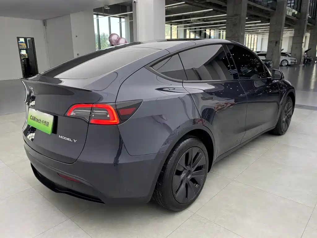 Tesla Model Y — миниатюра 3