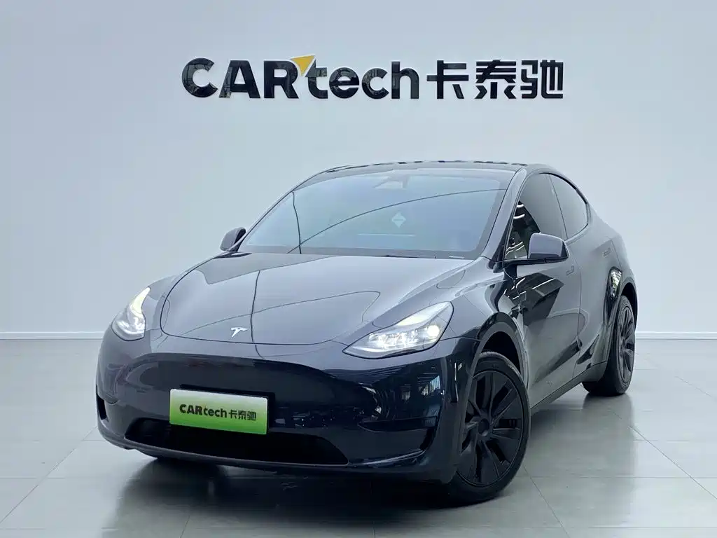 Tesla Model Y — миниатюра 9