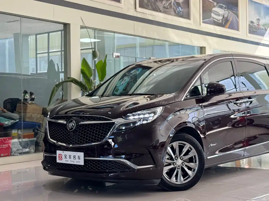 Buick GL8 — миниатюра 16