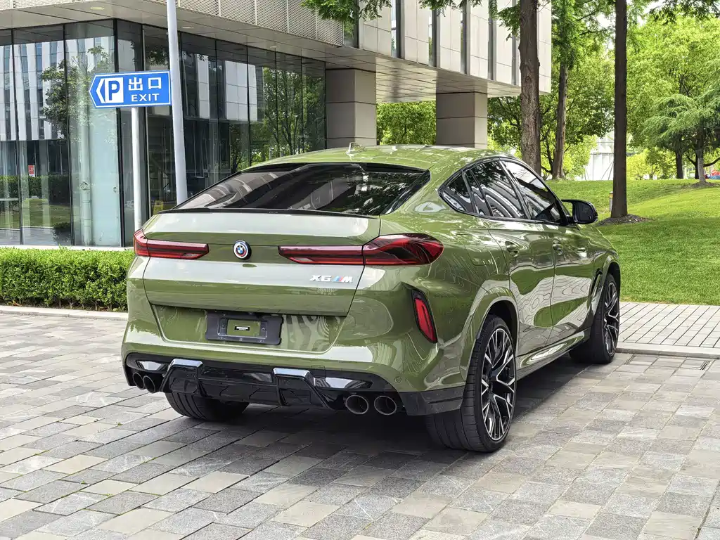 BMW X6 M — миниатюра 50