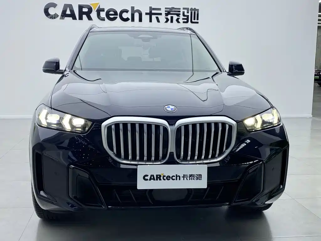 BMW X5 — миниатюра 10