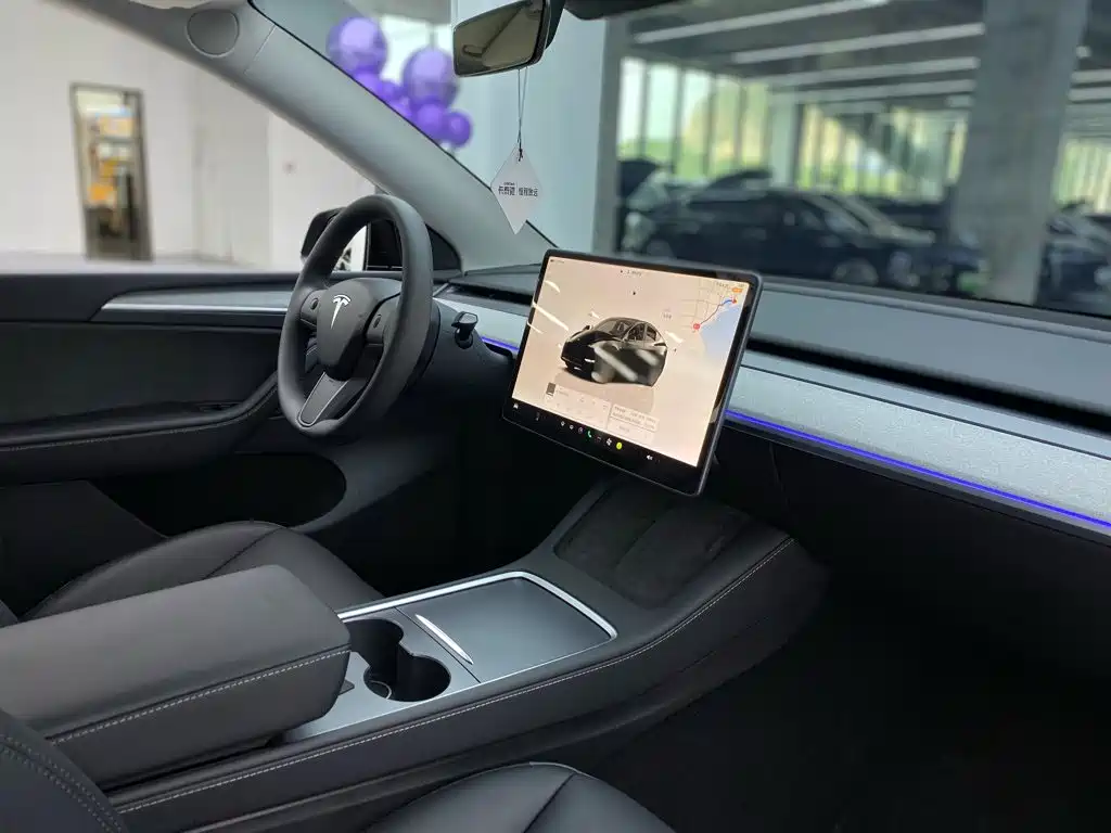 Tesla Model Y — миниатюра 18