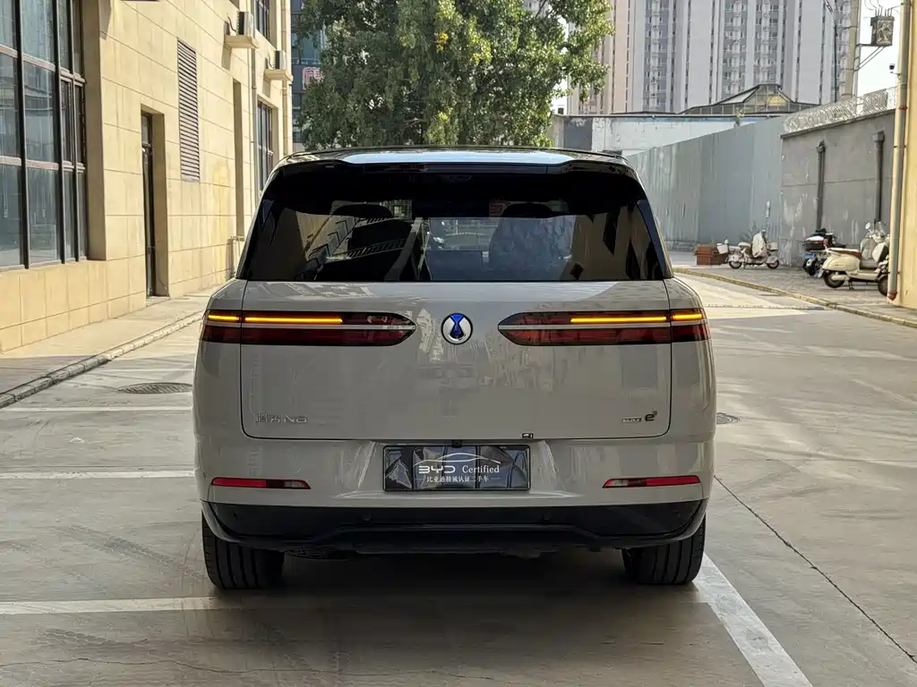 Denza Denza N8L — миниатюра 11