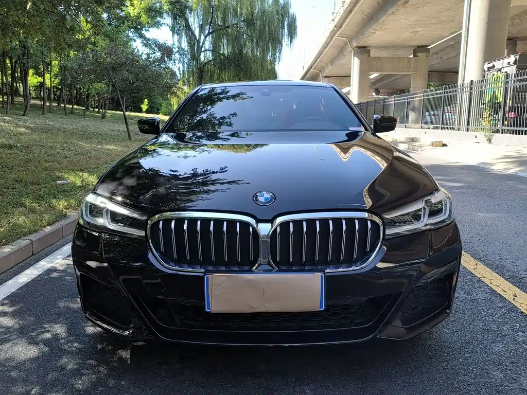BMW 5 Series — миниатюра 3