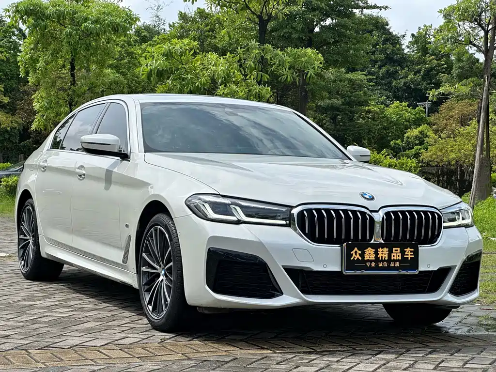 BMW 5 Series — миниатюра 3