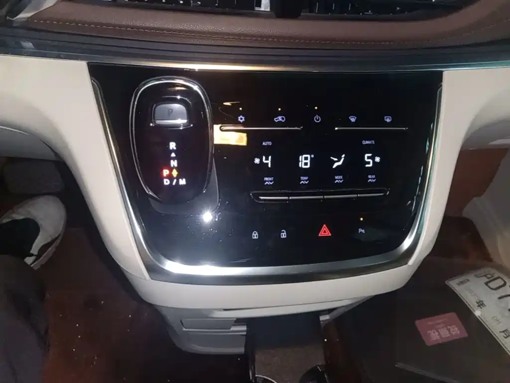 Buick GL8 — миниатюра 14