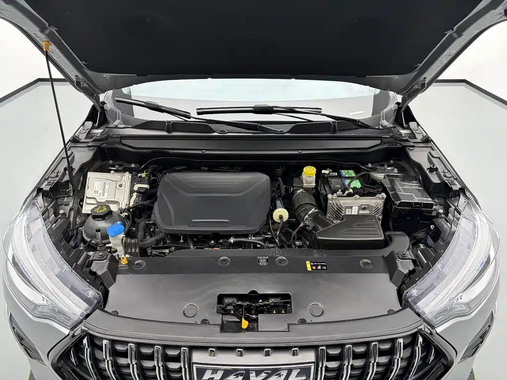 Haval Chitu — миниатюра 19