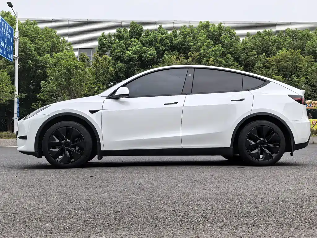Tesla Model Y — миниатюра 4