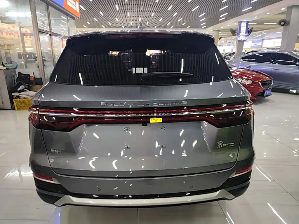 BYD Pro New Energy — миниатюра 6
