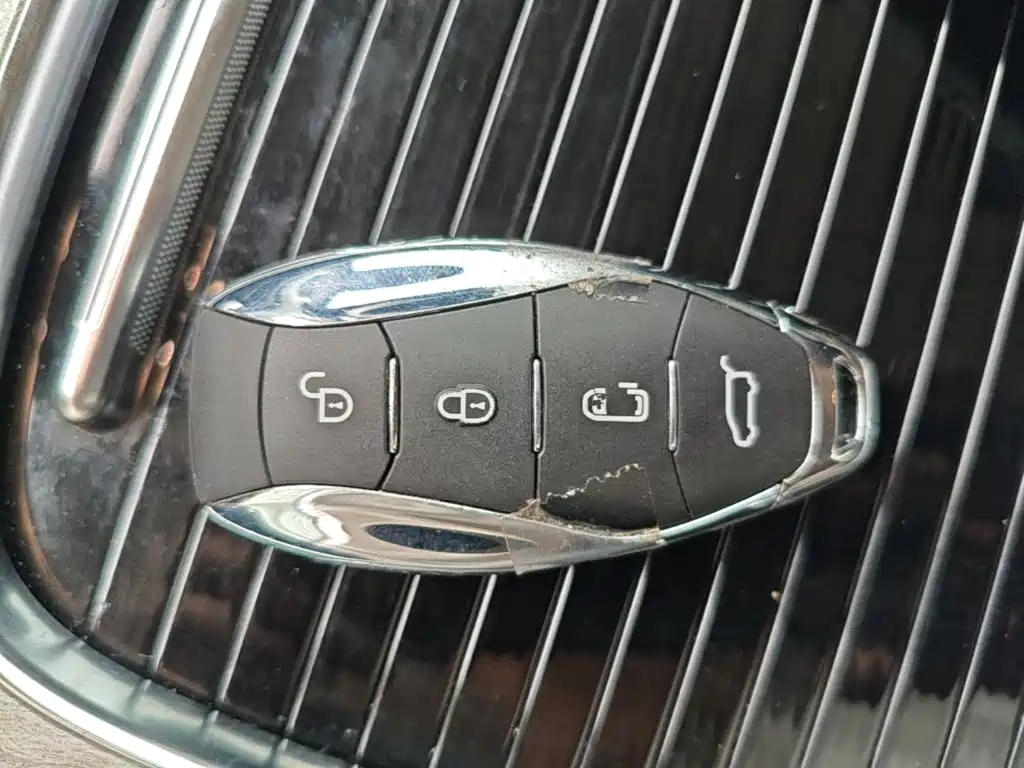 Hongqi Hongqi HQ9 PHEV — миниатюра 9