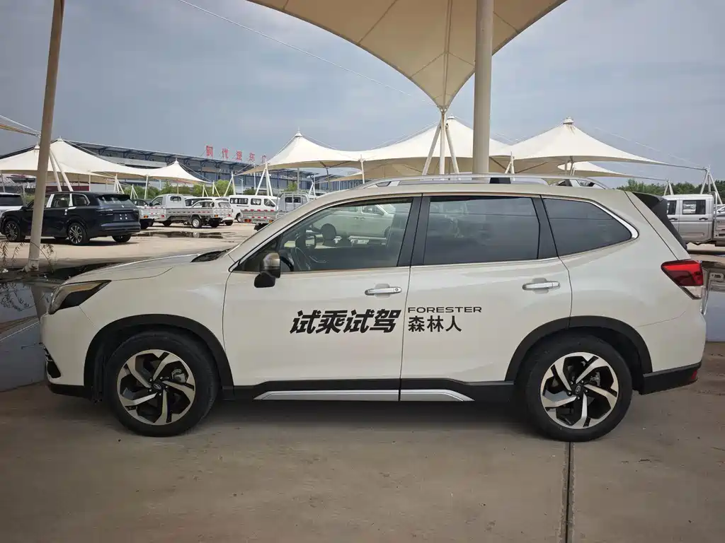 Subaru Forester — миниатюра 3