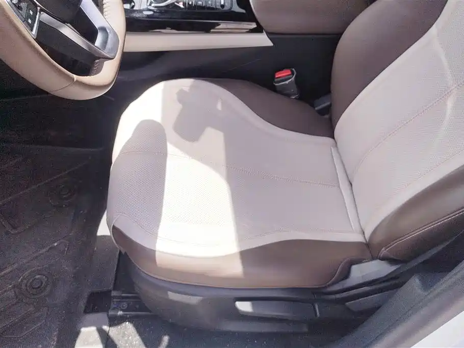 BYD Qin Plus PLUS 2024 DM-i 55KM Lead