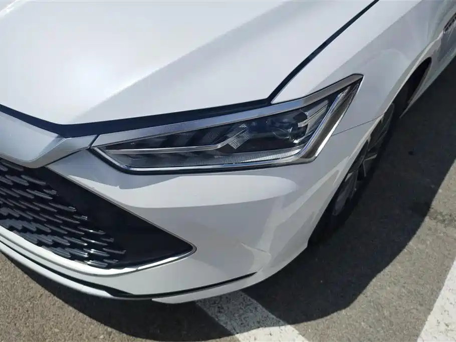 BYD Qin Plus PLUS 2024 DM-i 55KM Lead